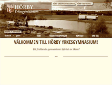 Tablet Screenshot of hyg.se